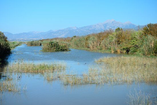 Parc naturel de S'Albufera de Mallorca